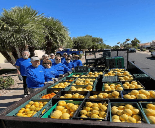 Citrus Gleaning